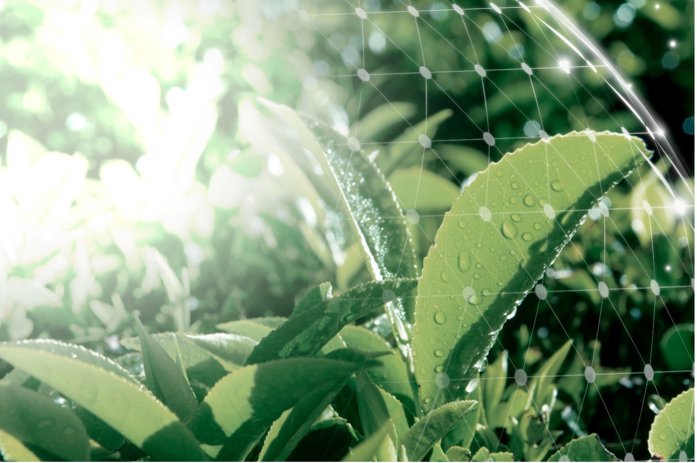 To solve the climate crisis, we need to ensure that we are empowering those with the resources to make a difference